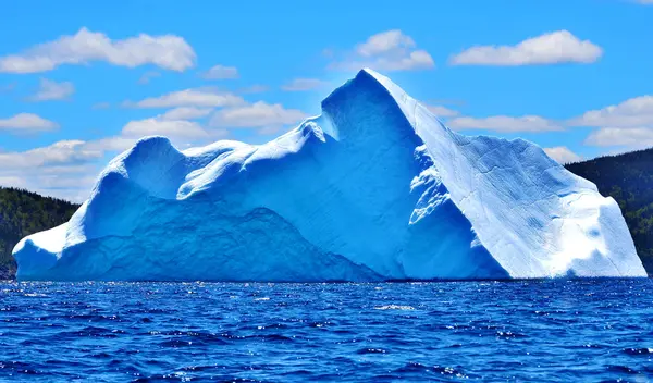 Ijsberg Cape Bonavista Newfoundland Canada — Stockfoto