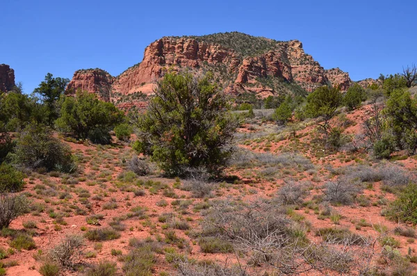 Der Sedona Park Erstreckt Sich Über Die Grafschaft Der Nördlichen — Stockfoto