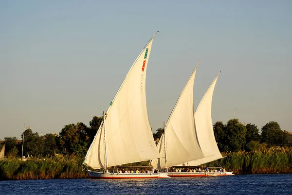 Aswan Egypte Nov Felucca Vaart Nijl Bij Aswan Egypte Nov — Stockfoto