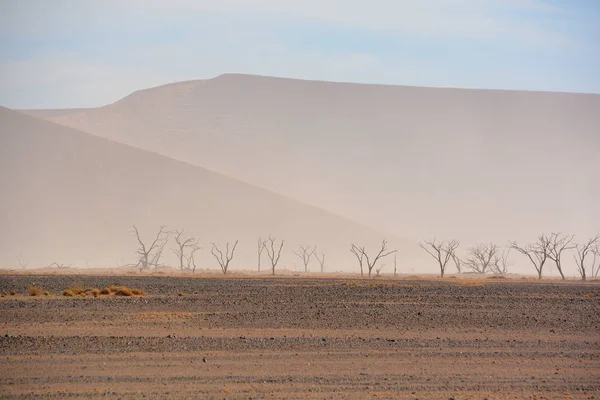 Namibia的Namib Naukluft国家公园的沙漠景观 — 图库照片
