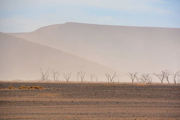 Pustynny Krajobraz Namibowym Parku Narodowym Naukluft Namibia — Zdjęcie stockowe