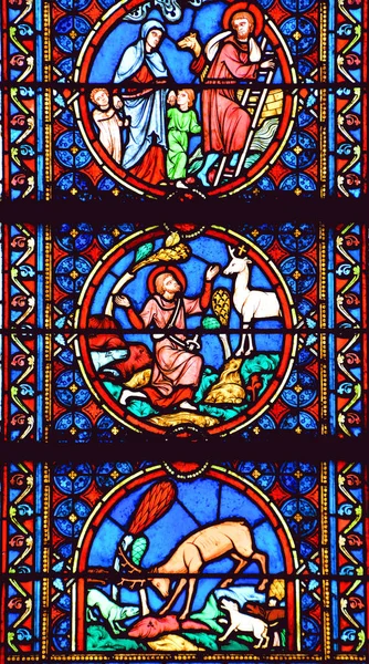 Paris France October Stained Glass Window Notre Dame Cathedral Paris — 스톡 사진