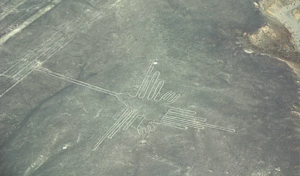 Hummingbird Nazca Lines Series Ancient Geoglyphs Located Nazca Desert Southern — Stock Photo, Image