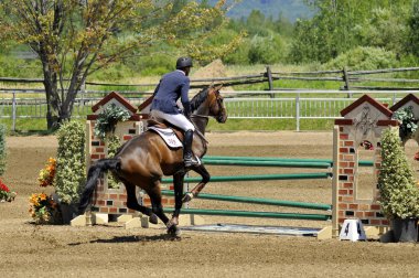 BROMONT, CANADA - 21 Temmuz 2012 'de Montreal Equestrian 1976 Olimpiyat Parkı' nda bilinmeyen bir binici.