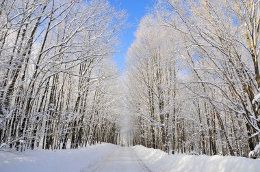 Doğu kasabası kış manzarası, Quebec, Kanada