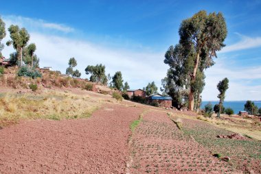 TITICACA GÖLÜ PERU - NOVEMBER 22 2010: Puno Peru 'daki Titicaca Gölü' nde Taquile Adası 'nda (Isla Taquile) Yerli Peru Halkının Evleri.