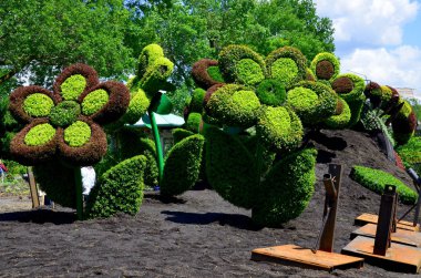 MONTREAL, Kanada - 15 Mayıs 2013: Sheppard Mozaik. Montreal 2013 'teki Mosaicultures Internationales için yarım milyon ziyaretçi. Etkinlik Montreal Botanik Bahçesi 'nde gerçekleşecek.