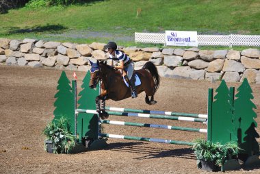 BROMONT, CANADA - 29 Temmuz 2011 'de Montreal Equestrian 1976 Olimpiyat Parkı' nda Ata binen bilinmeyen bir sürücü. 