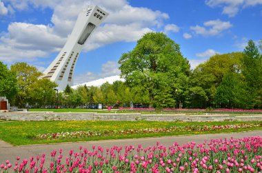 Montreal, Kanada. 23 Eylül. - 23 Eylül. 23, 09, 2012 'de Montreal Olimpiyat Stadyumu' nda. Dünyanın en yüksek eğimli kulesi. Olimpiyat turu 175 metre uzunluğunda ve 45 derecelik açıyla yapılıyor. 