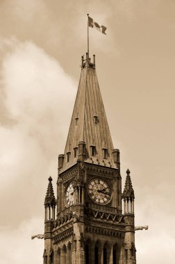OTTAWA, Kanada Parlamentosu, Kanada 'nın 30 Haziran 2013 tarihinde Ottawa, Ontario, Kanada' nın başkenti Parliament Hill 'de kurulmuş federal yasama organıdır..
