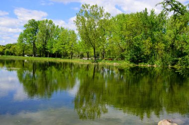 Bahar zamanı Japon bahçesi. 