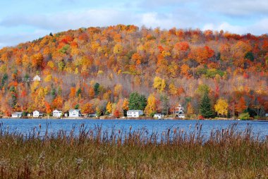 Bromont, Quebec, Kanada 'da parlak sonbahar yaprakları