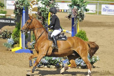 BROMONT, CANADA - 21 Temmuz 2012 'de Montreal Equestrian 1976 Olimpiyat Parkı' nda bilinmeyen bir binici.