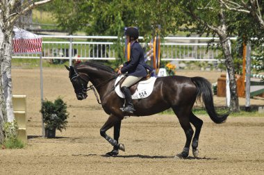 BROMONT, CANADA - 21 Temmuz 2012 'de Montreal Equestrian 1976 Olimpiyat Parkı' nda bilinmeyen bir binici.