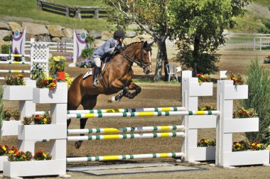 BROMONT, CANADA - 21 Temmuz 2012 'de Montreal Equestrian 1976 Olimpiyat Parkı' nda bilinmeyen bir binici.