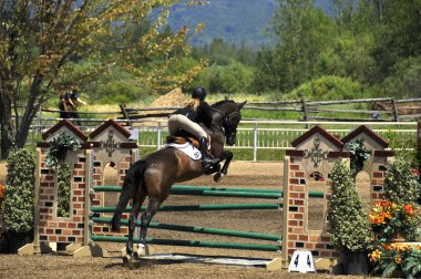 BROMONT, CANADA - 21 Temmuz 2012 'de Montreal Equestrian 1976 Olimpiyat Parkı' nda bilinmeyen bir binici.