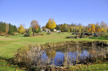 Sonbahar mevsimi, sonbahar manzarası ağaçlar ve göl suyuyla