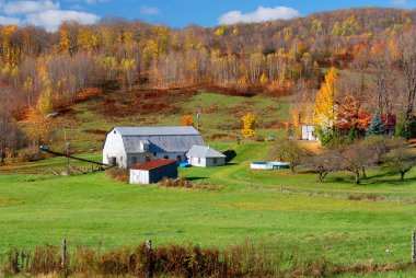Bromont, Quebec, Kanada 'da sonbaharda çiftlik