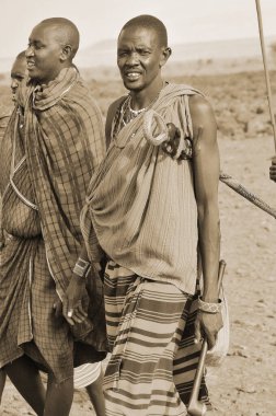 AMBOSELI, KENYA - 13 Ekim 2011 'de Kenya, Amboseli' de genç Maasai erkeklerinin portresi çekildi. Masai (Masai), Kenya ve Tanzanya 'nın kuzeyinde bulunan yarı göçebe bir etnik gruptur.