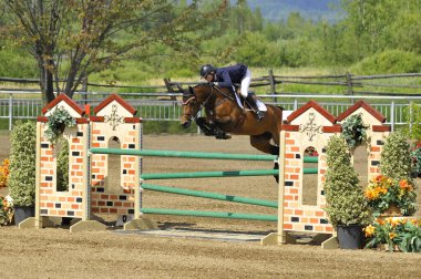 BROMONT, CANADA - 21 Temmuz 2012 'de Montreal Equestrian 1976 Olimpiyat Parkı' nda bilinmeyen bir binici.