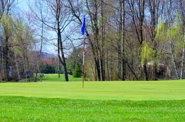 Bahar zamanı Japon bahçesi. 