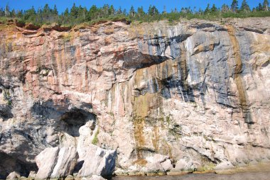 Bonaventure Adası 'nın Uçurumu birçok sanatçı ve şair için önemli bir ilham kaynağı olmuştur..