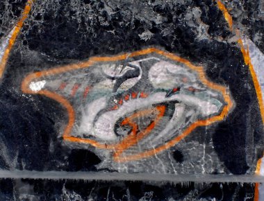 MONTREAL, CANADA - 24 Ocak 2009 'da Montreal Kanada' da oynanan 57e All Star maçı için Montreal Kanadalılarının Molson merkezinin önündeki buz bloğunda Nashville Predators forması