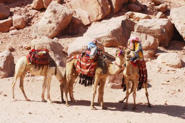 PETRA, JORDAN - 25 Kasım 2009 Petra, Ürdün 'de kimliği belirsiz bir adam deve gezisi için turistleri bekliyor. Yolculuk 20JD tuttu. Petra, MÖ 6. yüzyılda Nabataean krallığının başkentiydi. 