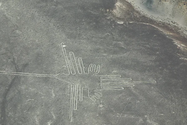 İnsan Nazca Çizgileri, Güney Peru 'daki Nazca Çölü' nde bulunan bir dizi antik geogliftir. 1994 yılında UNESCO Dünya Mirasları Listesi olarak belirlendi..