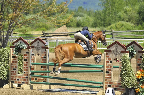 Bromont Canada Juli Onbekende Ruiter Een Paard 2012 International Bromont — Stockfoto