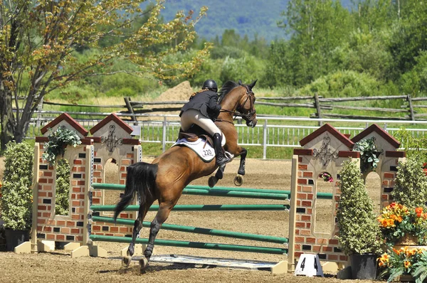 Bromont Canada Juillet Cavalier Inconnu Cheval 2012 Bromont International Juillet — Photo