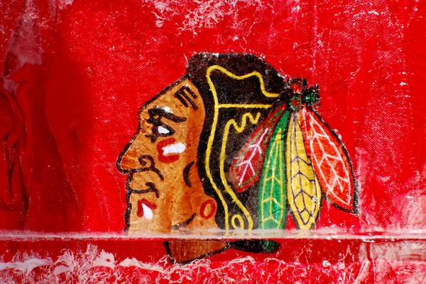 MONTREAL CANADA - 24 Ocak 2009: Chicago Blackkawks forması Montreal Kanadalılarının Molson merkezinin önündeki buz bloğunda, 24 Ocak 2009 tarihinde Montreal Kanada 'da oynanan All Star maçında