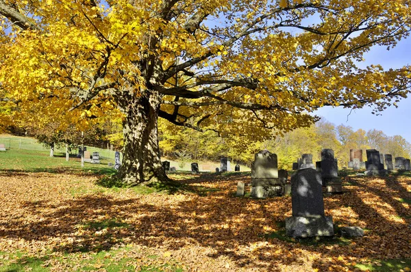 Cementerio Santísima Trinidad Quebec Canadá Paisaje Rural Otoñal — Foto de Stock