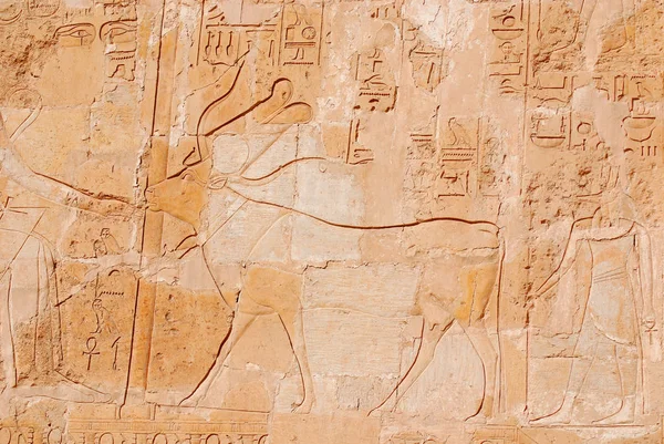 Egyptian God Old Temple — Stock Photo, Image