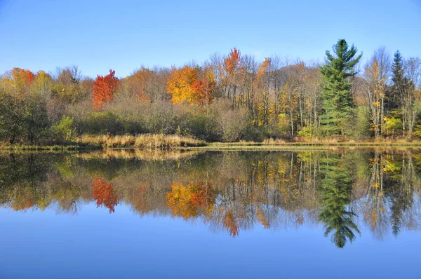 Herbstzeit Herbstlandschaft Mit Bäumen Und Seewasser — Stockfoto