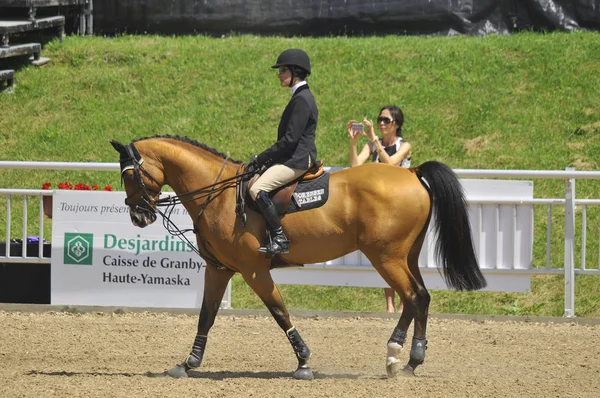 Bromont Canada Luglio Cavaliere Sconosciuto Cavallo Nel 2012 Bromont Internazionale — Foto Stock