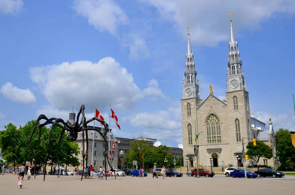 Ottawa Canada Juni Notre Dame Kathedraal Basiliek Een Kerkelijke Basiliek — Stockfoto