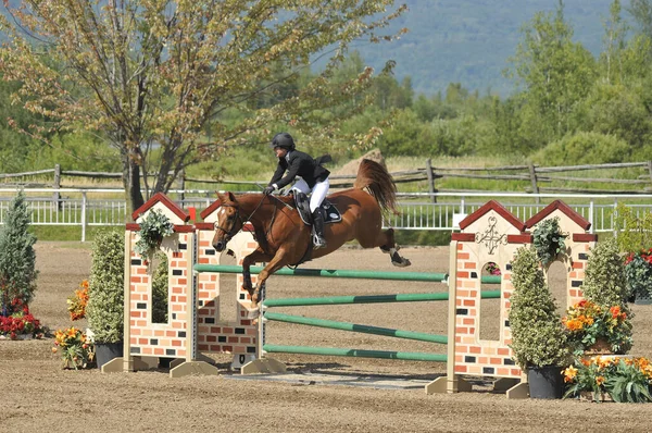 Bromont Canada Julho Cavaleiro Desconhecido Cavalo Durante 2012 Bromonte Internacional — Fotografia de Stock