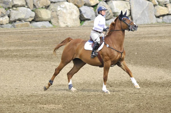 Bromont Canadá Julio Jinete Desconocido Caballo Durante 2012 Bromont Internacional —  Fotos de Stock