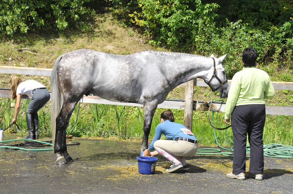 БРОМОНТ, КАНАДА - 25 июля: Неизвестный всадник на лошади в течение 2012 года, МЕЖДУНАРОДНЫЙ БРОМОНТ 25 июля 2012 года в конном 1976 году в Олимпийском парке Монреаля.
