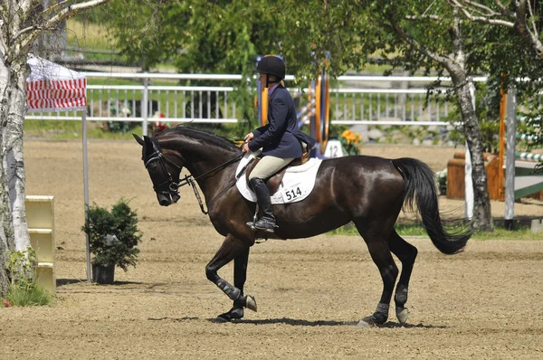 Bromont Canada Luglio Cavaliere Sconosciuto Cavallo Nel 2012 Bromont Internazionale — Foto Stock