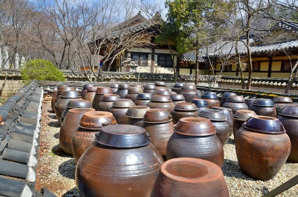 Tseoul South Korea April 2013 Raditional Kimchi Jar Storage Hut — Stockfoto