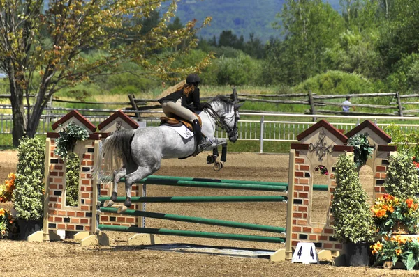 Bromont Canada Luglio Cavaliere Sconosciuto Cavallo Nel 2012 Bromont Internazionale — Foto Stock