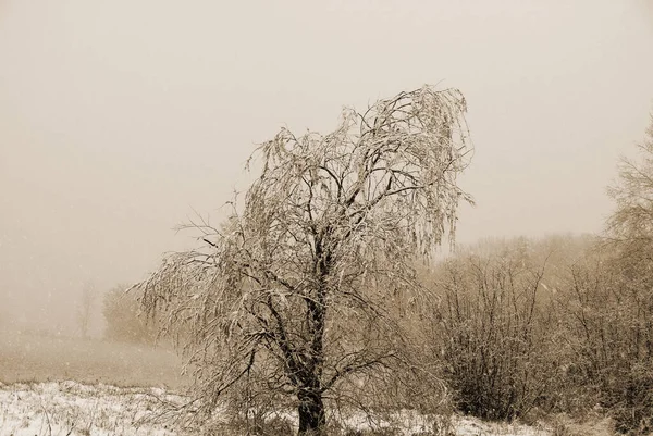 Τέλη Του Χειμώνα Τοπίο Στο Bromont Κεμπέκ Καναδάς — Φωτογραφία Αρχείου