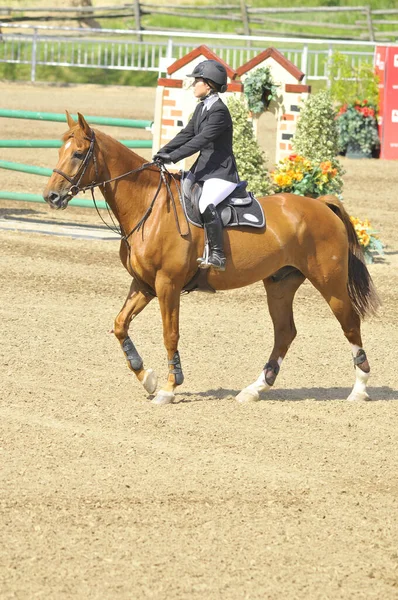 Bromont Canadá Julio Jinete Desconocido Caballo Durante 2012 Bromont Internacional —  Fotos de Stock