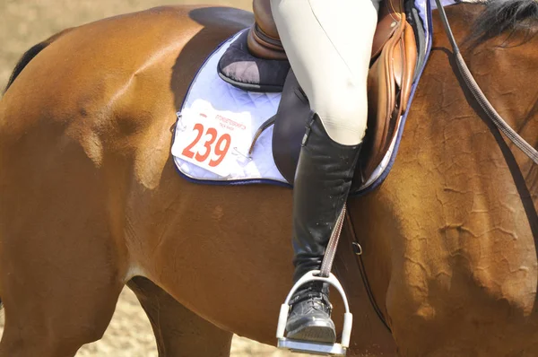 Bromont Canada Julho Cavaleiro Desconhecido Cavalo Durante 2012 Bromonte Internacional — Fotografia de Stock