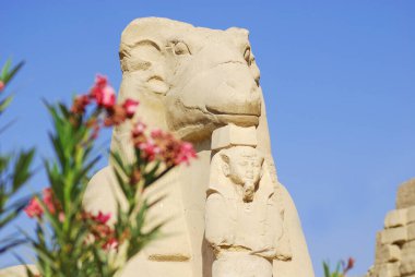 Karnak Tapınağı 'nda koç başlarının yanı sıra Mut Bölgesi, Amun-Re Bölgesi ve Luxor Tapınağı' nı birbirine bağlayan birkaç tanrıça ve keçi başlı sfenlerle salıncakta sallan..