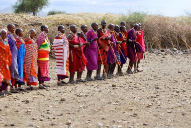 AMBOSELI, KENYA - 13 OCT: Masai kabilesinden tanımlanamayan Afrikalı insanlar Kenya 'nın Masai Mara kentinde 13 Ekim 2011' de geleneksel bir atlama dansı yapmaya hazırlanıyorlar. Onlar göçebe ve küçük köylerde yaşıyorlar..