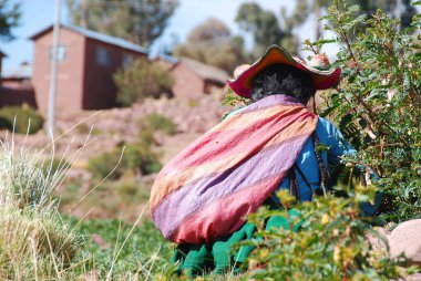 22 Kasım 2010 'da Titicaca Gölü' nde, Peru Gölü 'nde, Peru' da, Peru Gölü kıyısında yaşayan yaşlı insanlar. Ulusal yoksulluk oranı yüzde 50 'nin üzerinde..