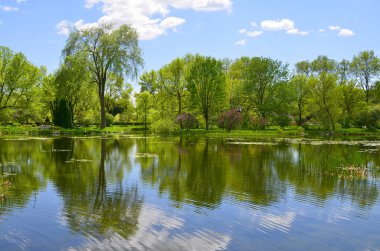 Bahar zamanı Japon bahçesi. 